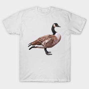 The Scrutineer - Canadian Goose painting T-Shirt
